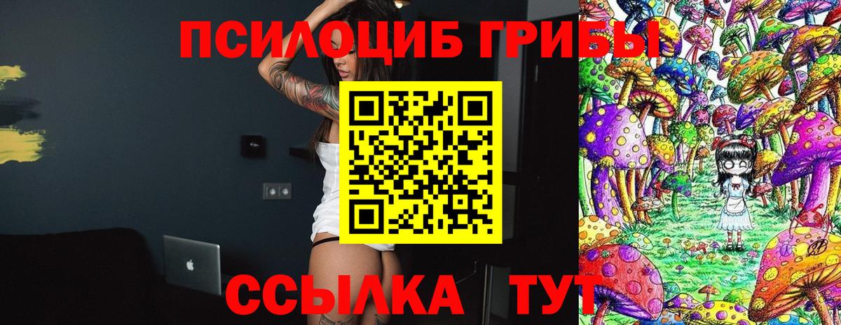 Псилоцибиновые грибы GOLDEN TEACHER  Галлюциногенные грибы мицелий  Вход с VPN  Северодвинск 