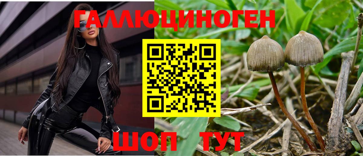 Галлюциногенные грибы MAGIC MUSHROOMS Северодвинск